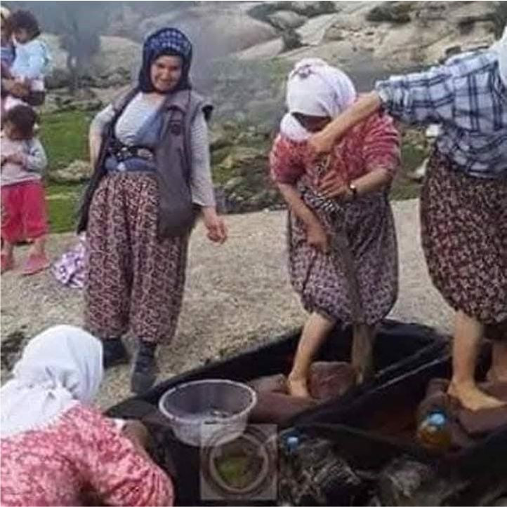 zeytin soğuk sıkım