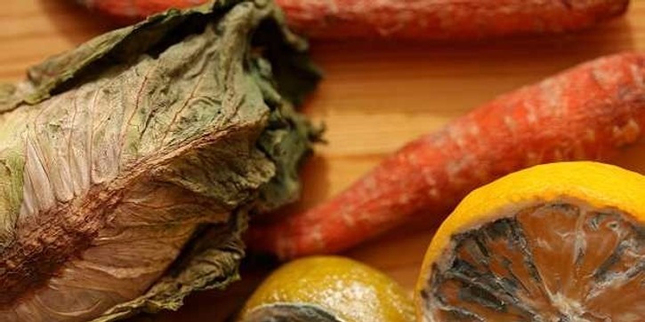 Küflenmiş Besinlere Dair Bilgiler