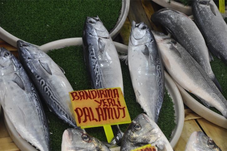 Balıkesir Balıkçı Pazarının en pahalı balığı 250 TL