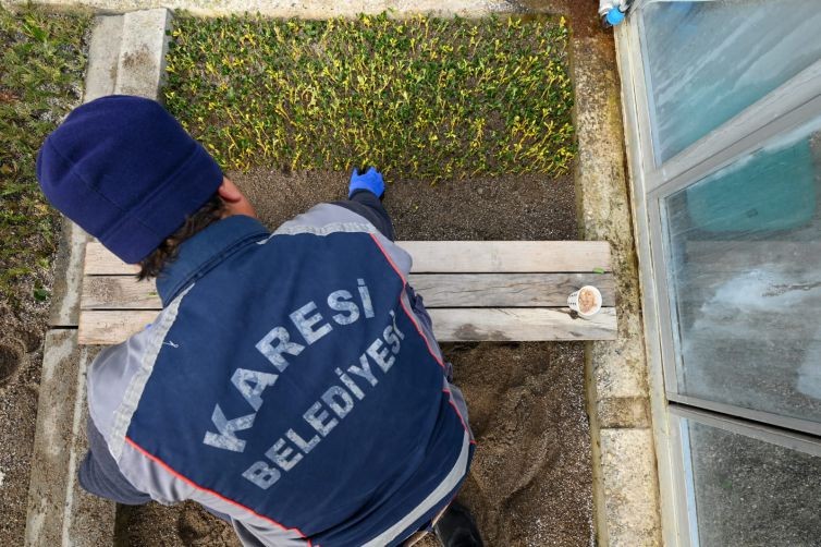 Karesi Belediyesi Kendi Çiçeklerini Üretiyor