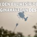 MSB'den Balıkesir'deki yangına havadan destek