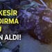 Balıkesir Bandırma Yolu 4 Can Aldı!