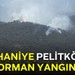Burhaniye Pelitköy'de Orman Yangını