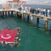 Engelliler, 30 Ağustos Zaferi için su altı dalışı yaptı