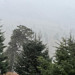 Bolu'da mevsimin ilk karı yağdı