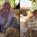 Balıkesir’de Sarımsak Bağlama Sanatı