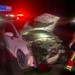 Balıkesir'de otomobilin çarptığı 7 küçükbaş hayvan telef oldu