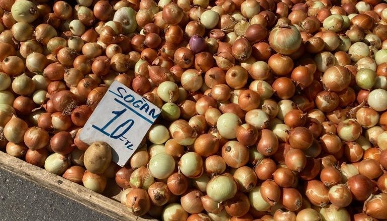 Balıkesir'de Yetişen Kırmızı Soğan Popülerliğini Koruyor!