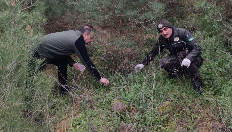 Terminatörler Balıkesir Ormanlarını Koruyacak