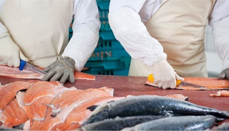 Balık Kılçığını Ayırmanın Püf Noktaları