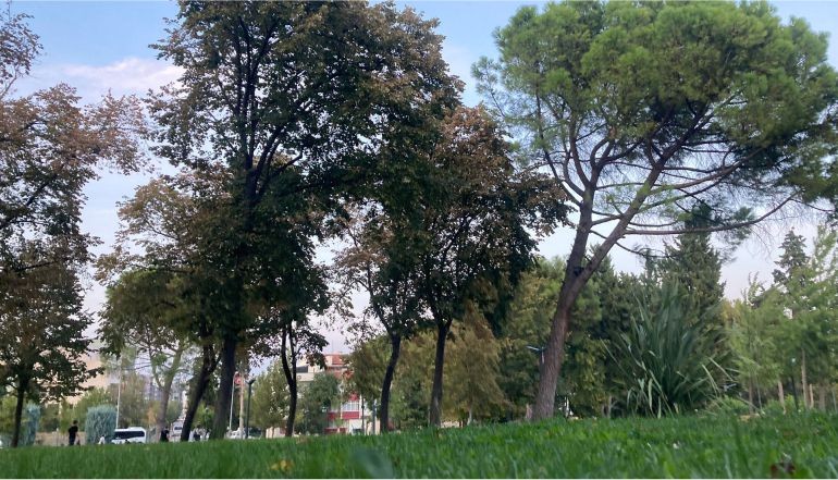 Balıkesir'de Sonbahar Manzaraları
