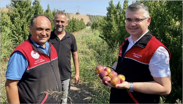 Balıkesir'de Meyve Üretimi Adeta Patladı!