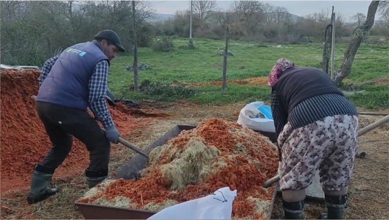 Balıkesir’de Çobanların Bir Günü Nasıl Geçiyor?