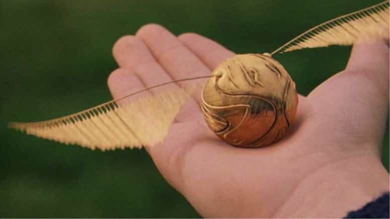 Altın Snitch'in Bilinmeyenleri