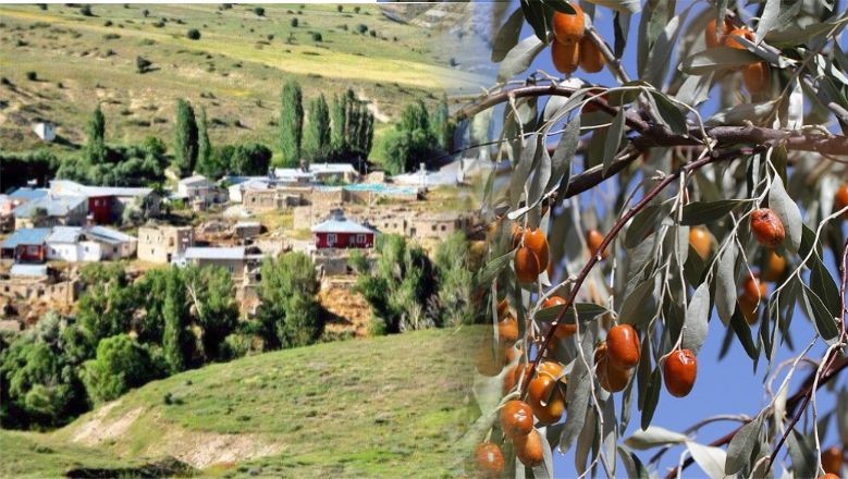 Balıkesir'in İlginç Köy İsimleri