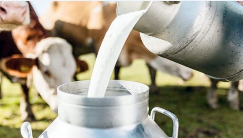 Çiğ İnek Sütü Litre Fiyatı 18,35 TL’ye Yükseltildi 