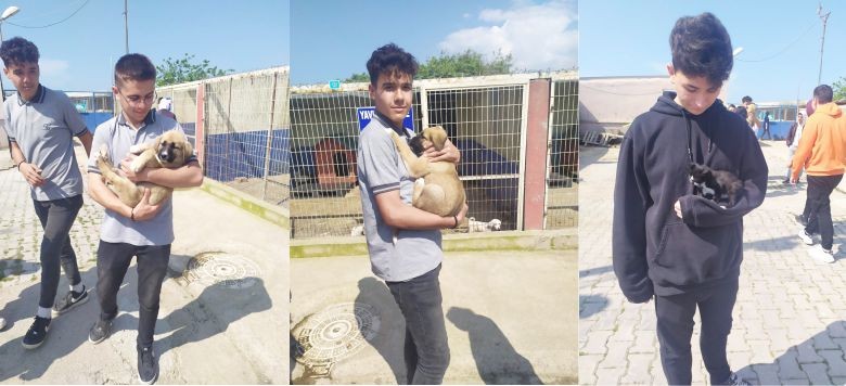 Harçlıklarıyla Mama Aldılar