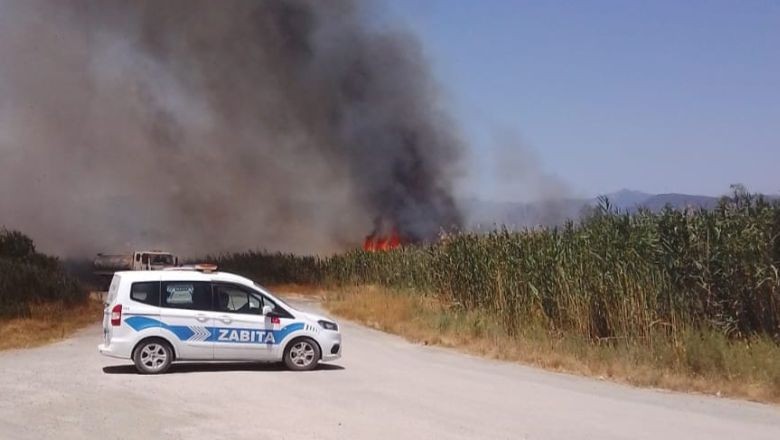 Edremit Dalyan’da Sazlık Yangını Korkuttu