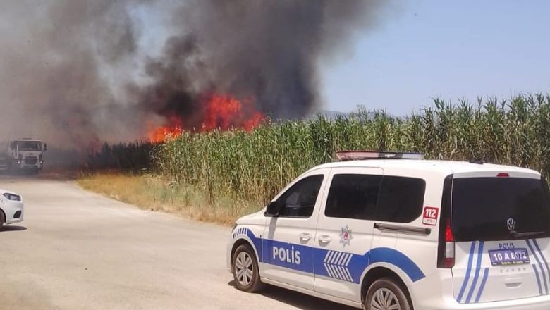 Edremit Dalyan’da Sazlık Yangını Korkuttu