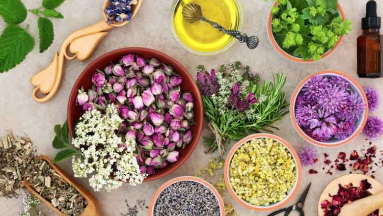 Aromaterapi Nedir?