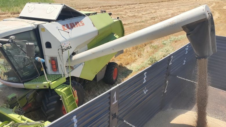 Akademiden Üretime: BAÜN'de Hasat Zamanı