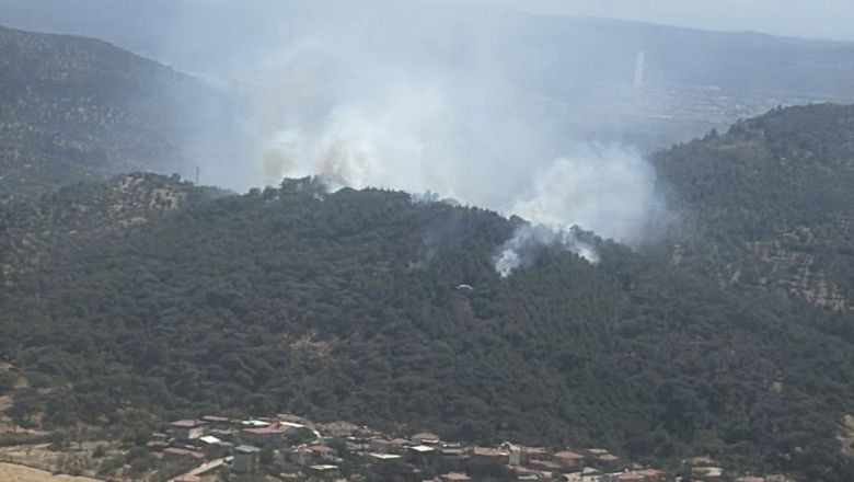 Burhaniye Pelitköy'de Orman Yangını