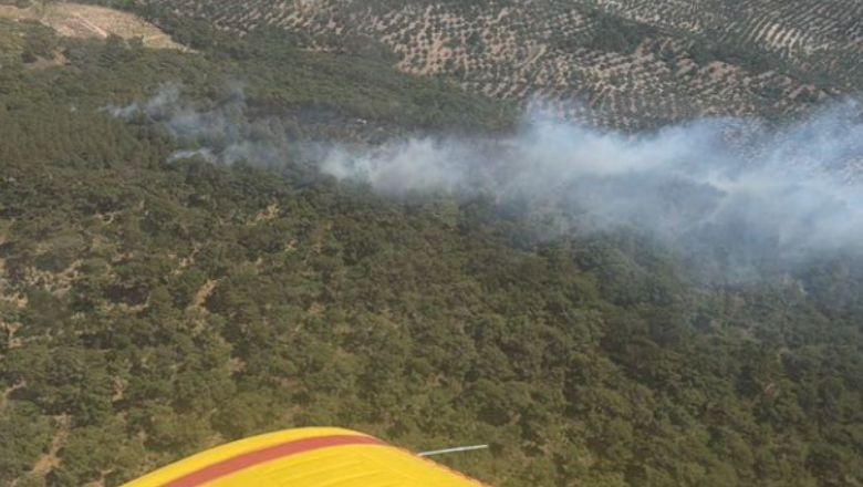 Burhaniye Pelitköy'de Orman Yangını