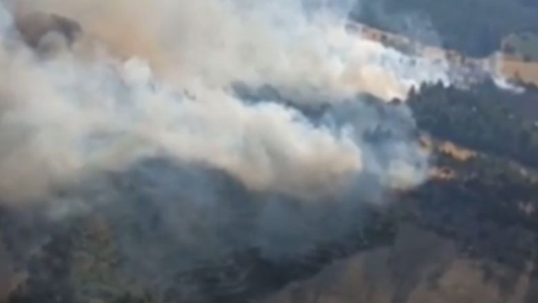 Dursunbey Kurtlar Mahallesi’nde Orman Yangını