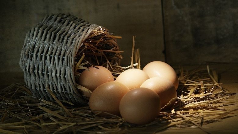 Canan Karatay'dan 'Süper Kahvaltı' Tavsiyesi