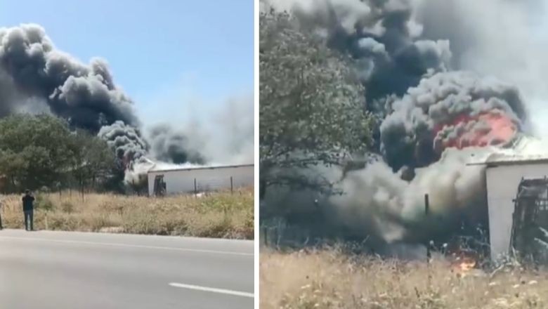 Savaştepe’de Yumurta Üretim Tesisinde Yangın!