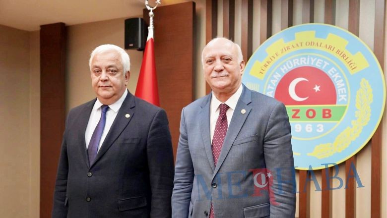 Zeytinyağında Tağşiş ve Taklit