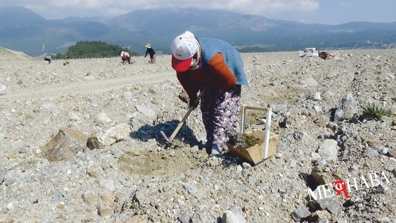 Eski Maden Sahası Lavanta Kokacak