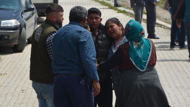Piknik Faciası. Okulların kapanmasına az kaldı. Bundan dolayı öğrenciler yıl sonu pikniği düzenledi. Düzenledikleri piknik sonları oldu. Aileler sinir krizi geçirdi.