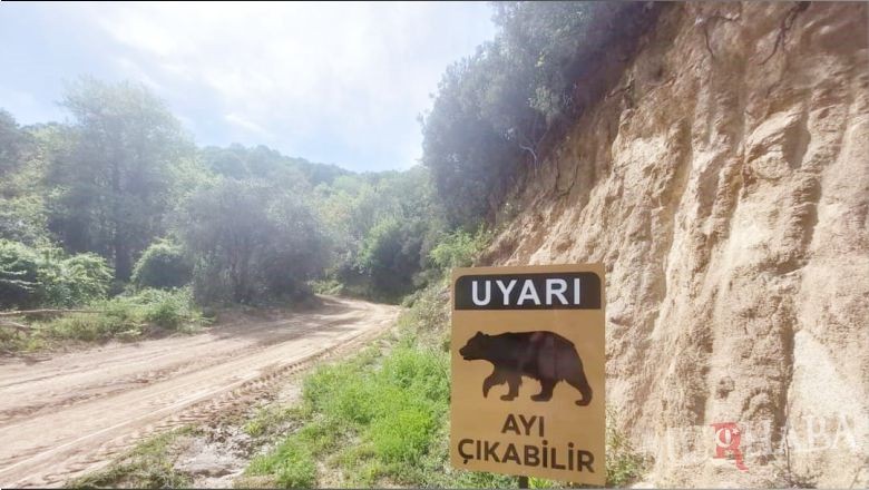 Ayı Uyarısı Artık Levhalarda