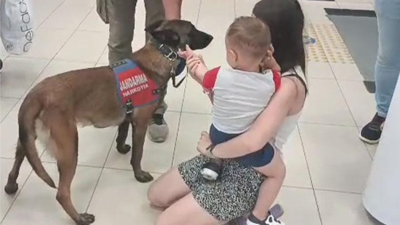 Balıkesir il Jandarma Narkotik köpeği Edremitliler ile Buluştu. Buluşmada Edremitli minikler eğlenceli anlar yaşadı.Balıkesir Jandarmasın’ dan Sevimli Buluşma