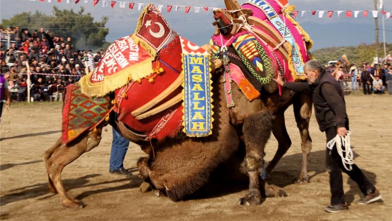 Balıkesir'in Ünlü Festivalleri