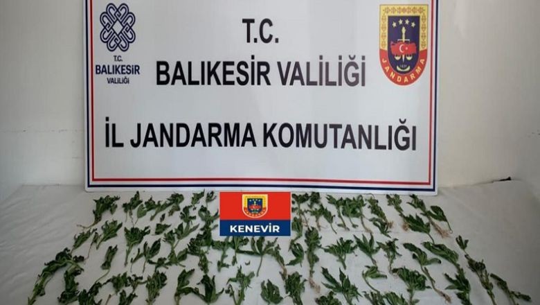 İlçelere uyuşturucu operasyonu. Balıkesir İl Jandarma Komutanlığı, uyuşturucu madde ile silah mühimmat imal ve ticaretine yönelik operasyon düzenledi.