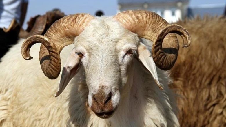 Kurban Bayramı Tatili Uzatıldı Mı?