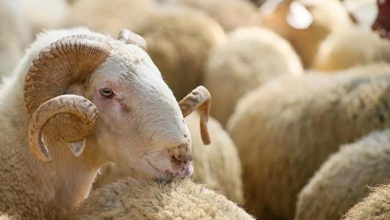 Kurban Bayramı Tatili Uzatıldı Mı?