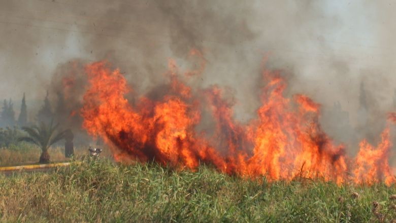 Anız Yangını Balıkesir'de Yolları Kapattırdı. Balıkesir'in Burhaniye ilçesinde, çıkan anız yangını paniğe sebep oldu. Ekipler yangından dolayı bir süre Burhaniye-Edremit kavşağını trafiğe kapattı.