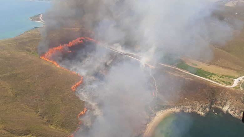 Balıkesir Avşa Adası'nda Yangın