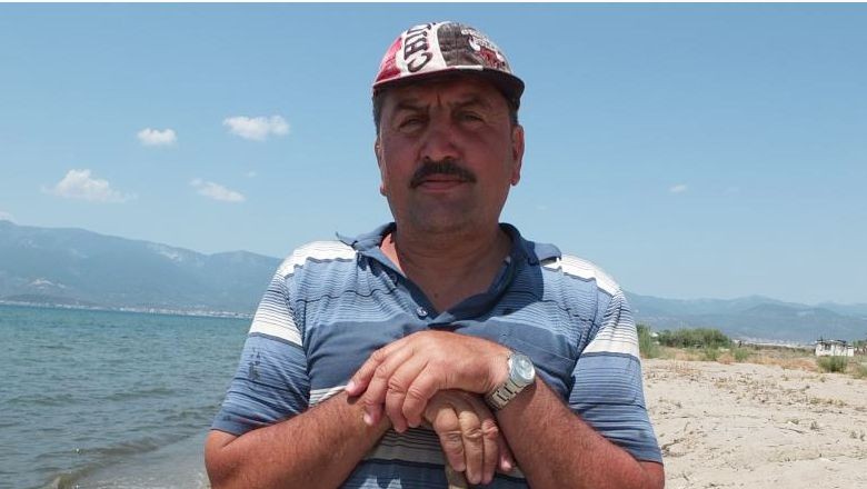 Balıkesir'de İnekler Denizde Serinledi