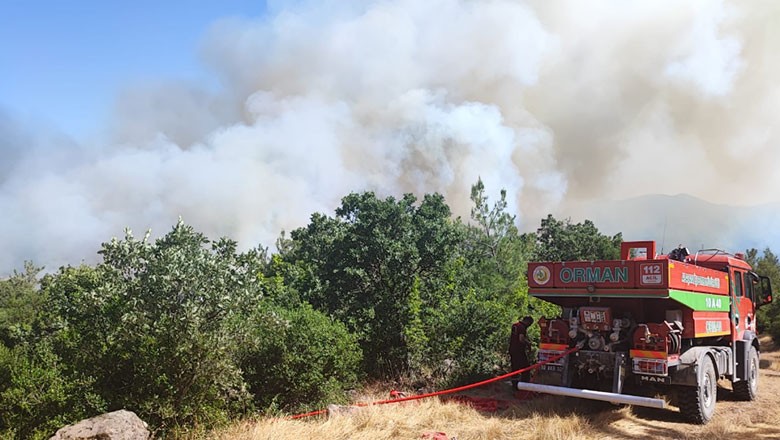 Balıkesir’de Ormanlık Alanda Yangın Çıktı