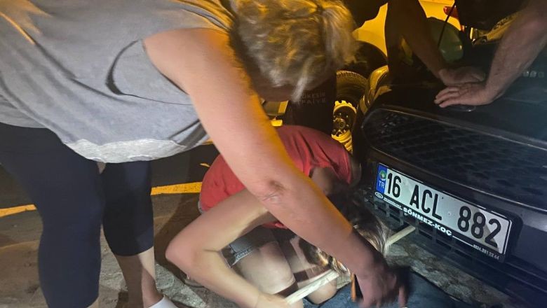 Araca Sıkışan Kedi Mahalleyi Ayağa Kaldırdı. Balıkesir’in Ayvalık ilçesinde dün gece park halindeki bir otomobilin motor bölümüne kedi sıkıştı. Sıkışan sokak kedisini gören mahalleliler uzun süre çıkarmaya çalıştı.