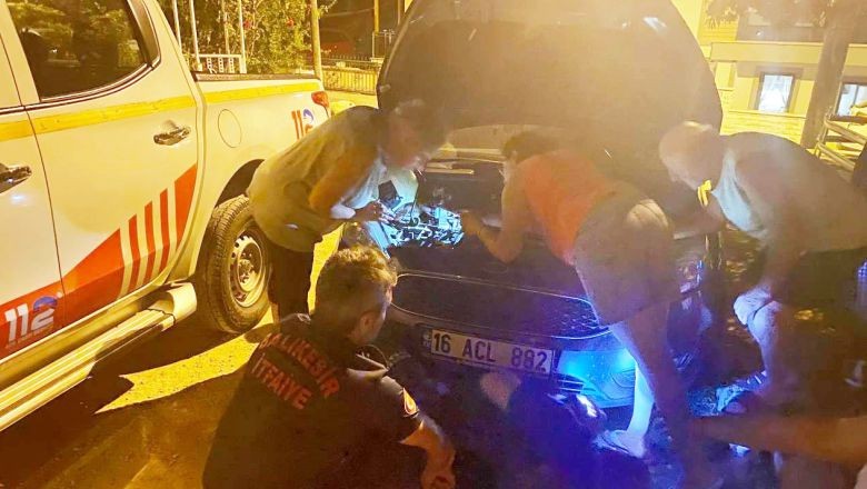 Araca Sıkışan Kedi Mahalleyi Ayağa Kaldırdı. Balıkesir’in Ayvalık ilçesinde dün gece park halindeki bir otomobilin motor bölümüne kedi sıkıştı. Sıkışan sokak kedisini gören mahalleliler uzun süre çıkarmaya çalıştı.