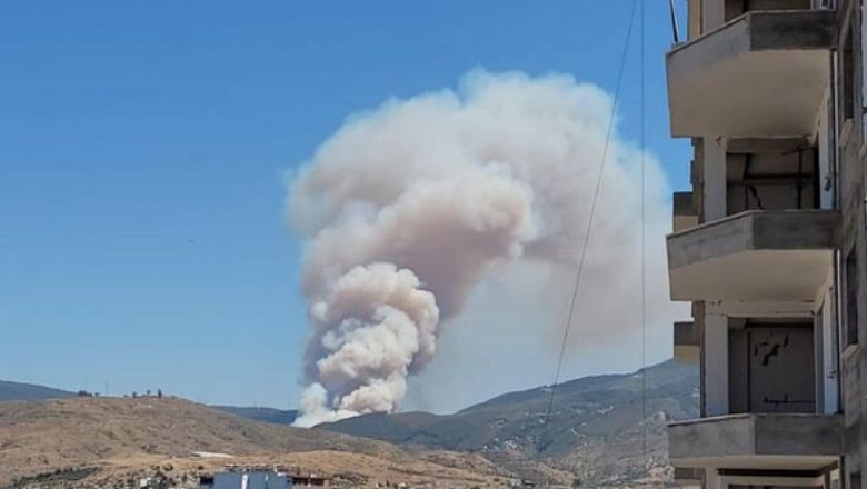 Belen'de Orman Yangını Çıktı
