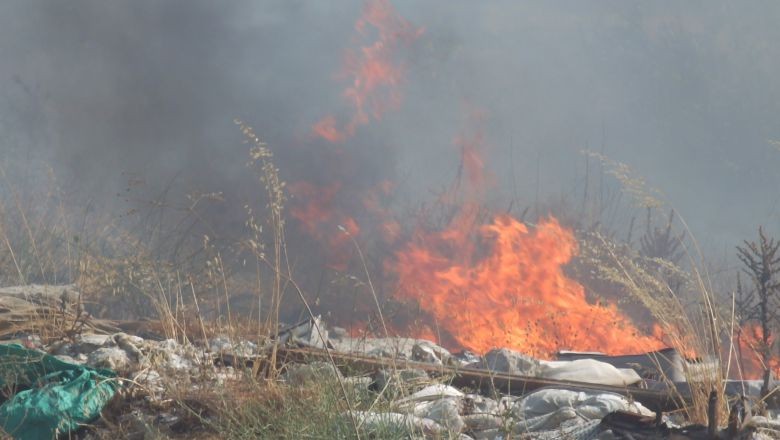 Burhaniye'de Yangın Zeytinlikleri Tehdit Etti
