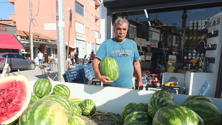 Burhaniye'de Emekli Öğretmen Toprağın Ustası Oldu