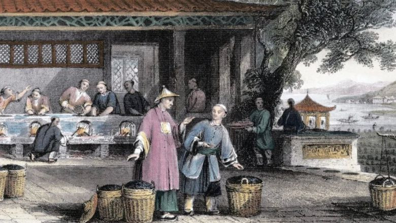 Çay Nasıl Bulundu?