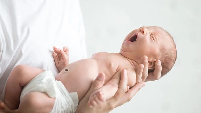 Elay İsminin Anlamı Nedir ?
